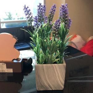 Meet your Posher, Patsy